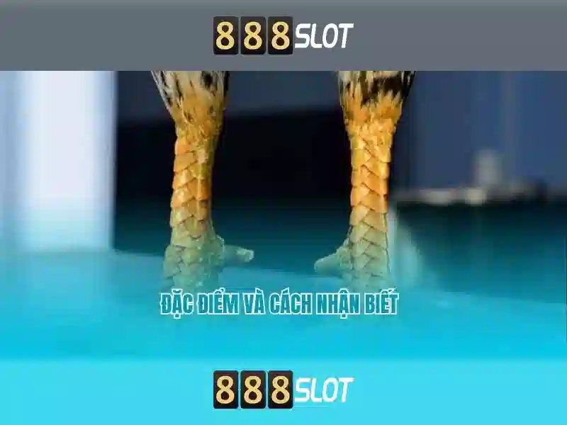 pg slot game 888 pgslot game user - Hành trình tối ưu cho người chơi