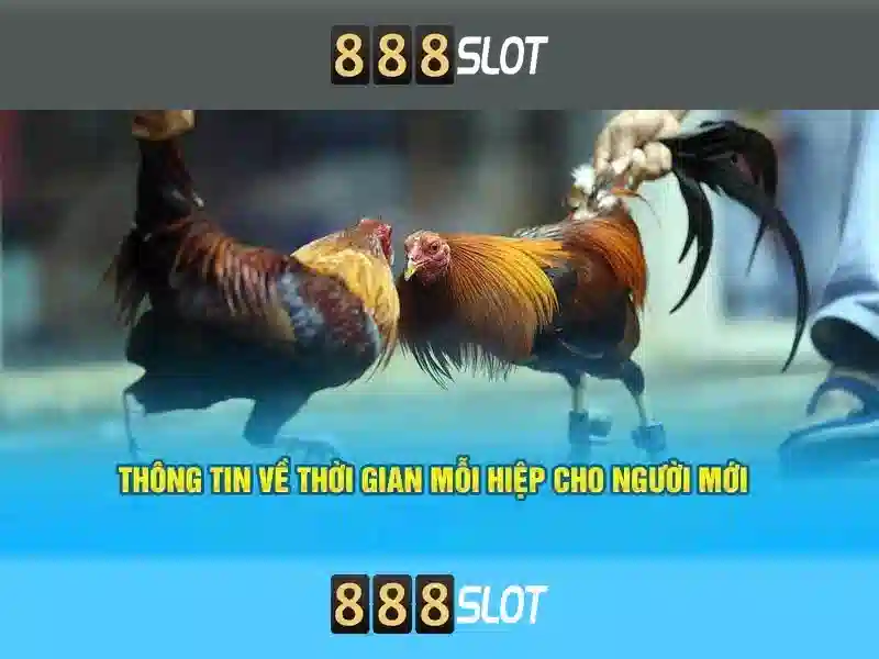 Giải thưởng, khuyến mãi và bảo mật