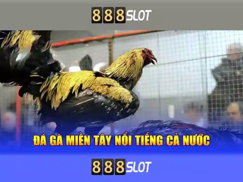 Trải nghiệm chơi slot