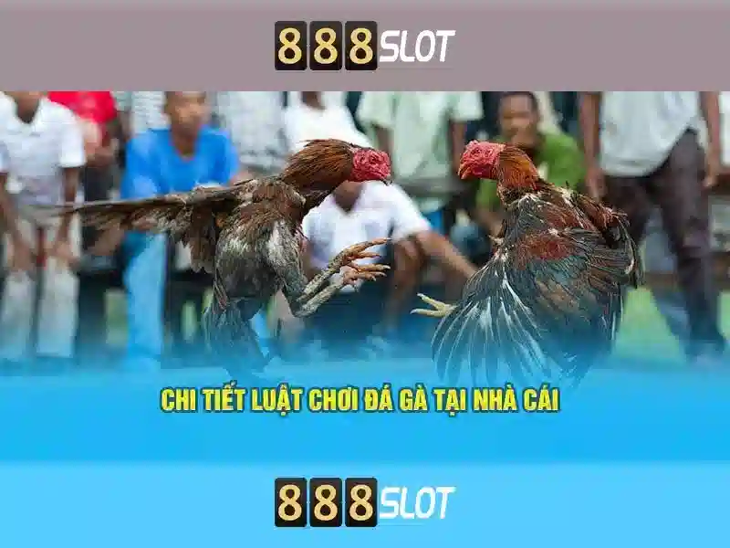 Hỗ trợ khách hàng và độ tin cậy