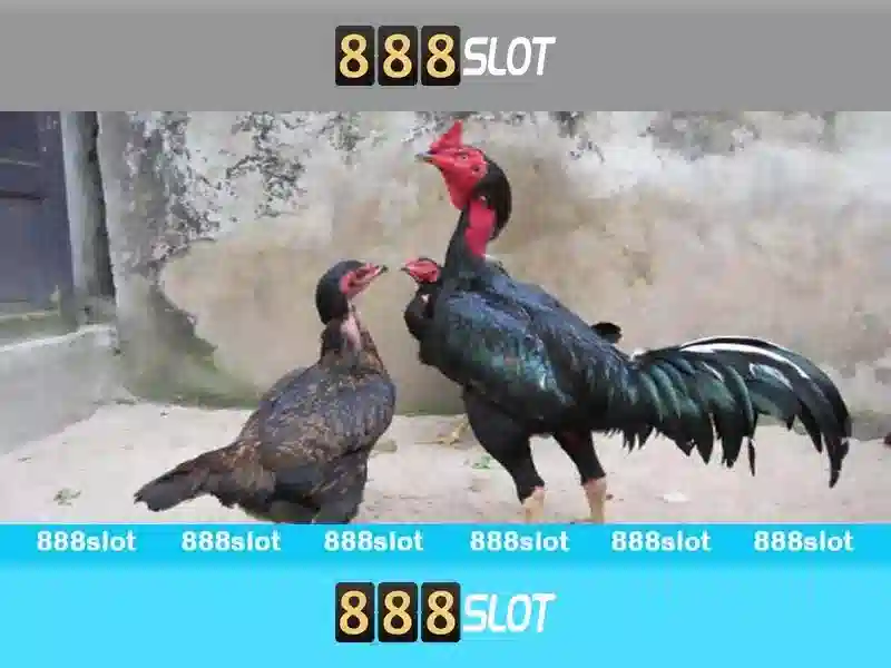 Tại sao 888slot được người chơi ưa thích\n\n