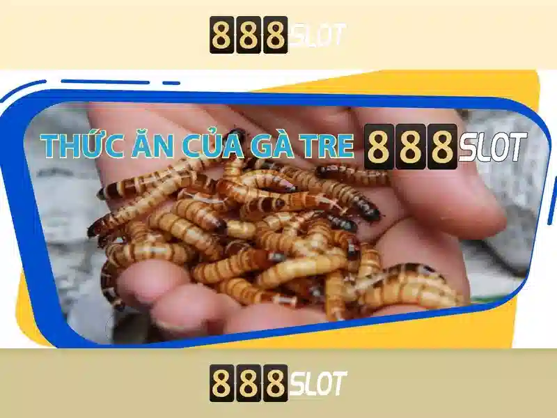 888slot - Đánh giá và trải nghiệm trò chơi máy slot trực tuyến