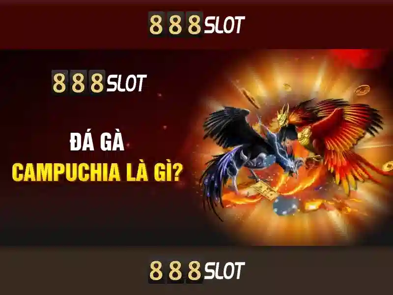 Sản phẩm và dịch vụ cốt lõi liên quan đến slot 888 free credit