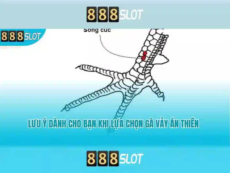Trò chơi và nhà cung cấp