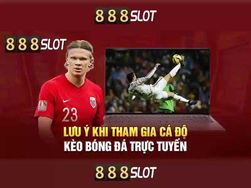 Nền tảng và trải nghiệm di động