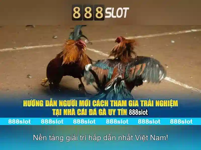 Tinh nang noi bat