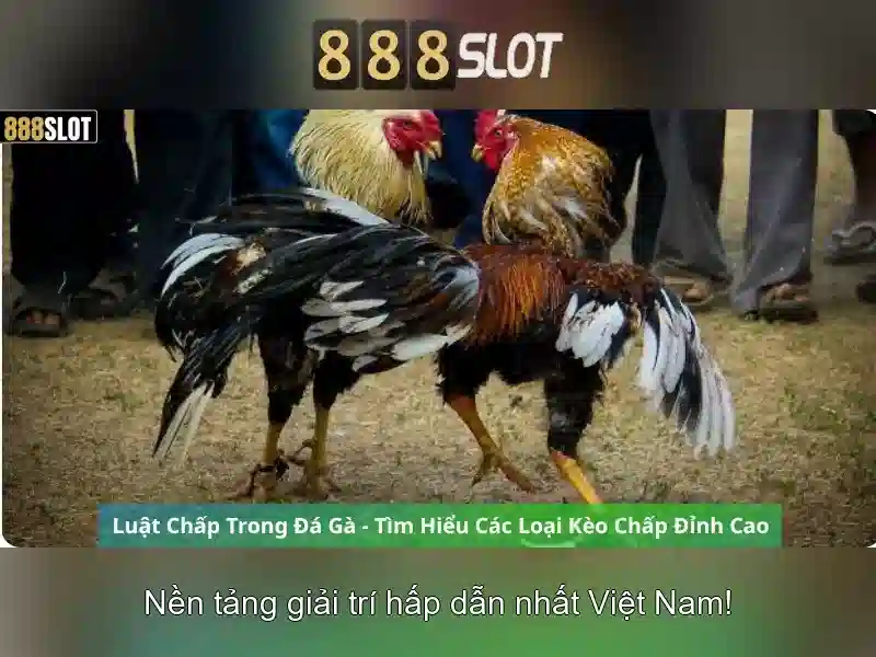 Khuyến mãi và thanh toán