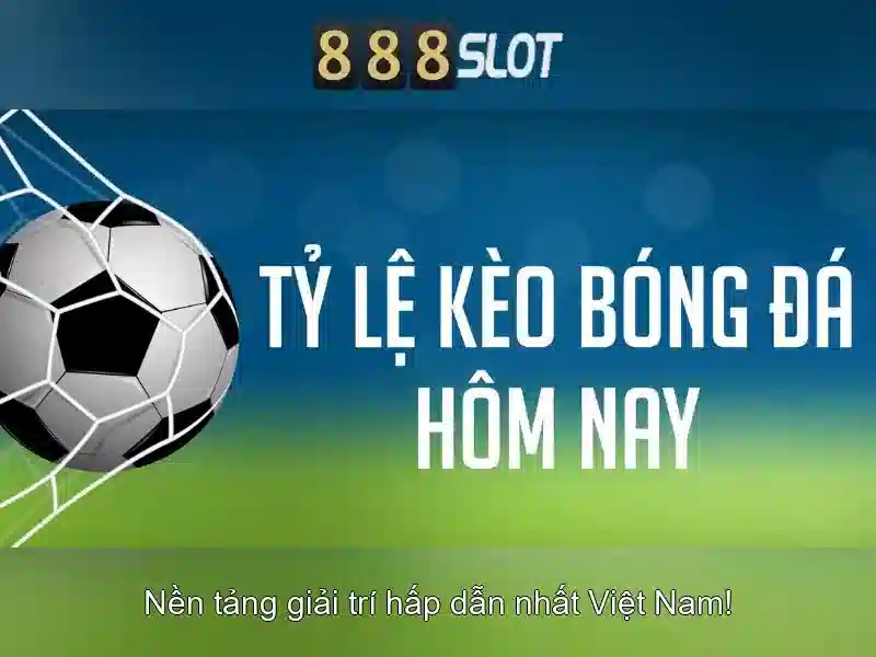 Khuyến mãi và chương trình thưởng