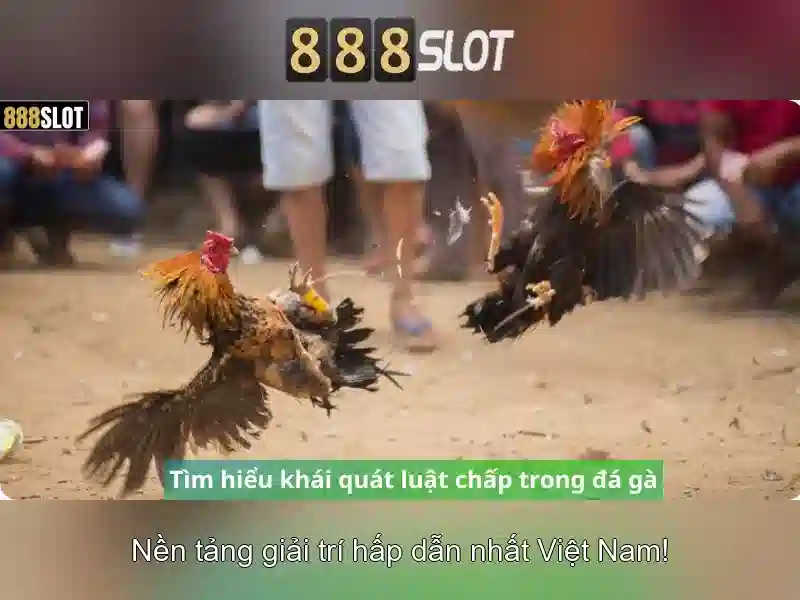 Trò chơi phổ biến và slot thú vị