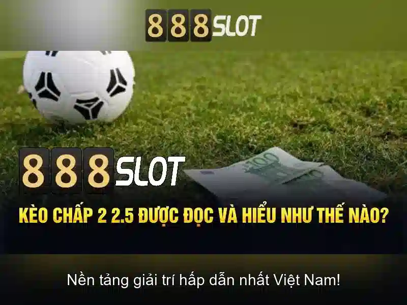 Trải nghiệm người dùng