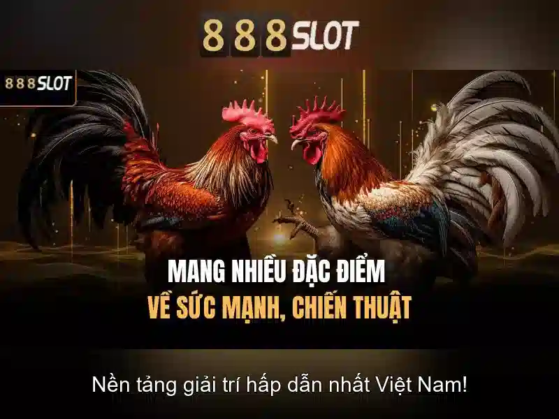 Đặc điểm nổi bật của 888slot