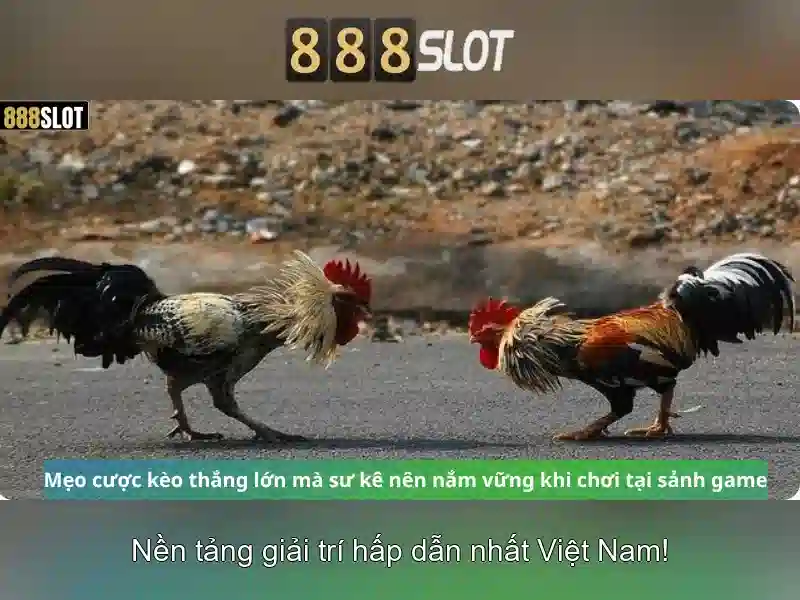 Bảo mật và hỗ trợ