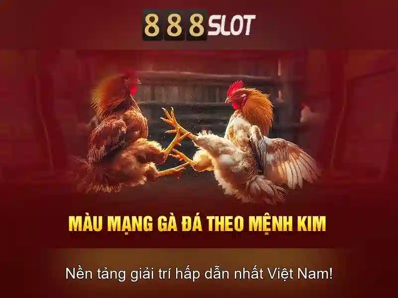 An toàn và hỗ trợ khách hàng